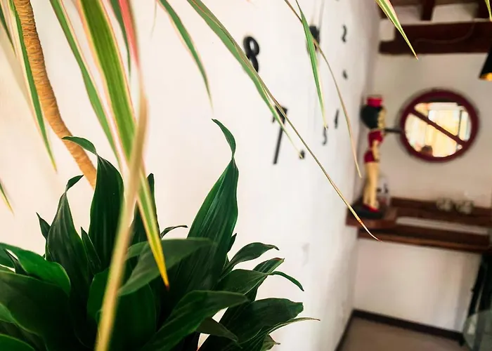 Grazioso Bilocale Pieno Centro